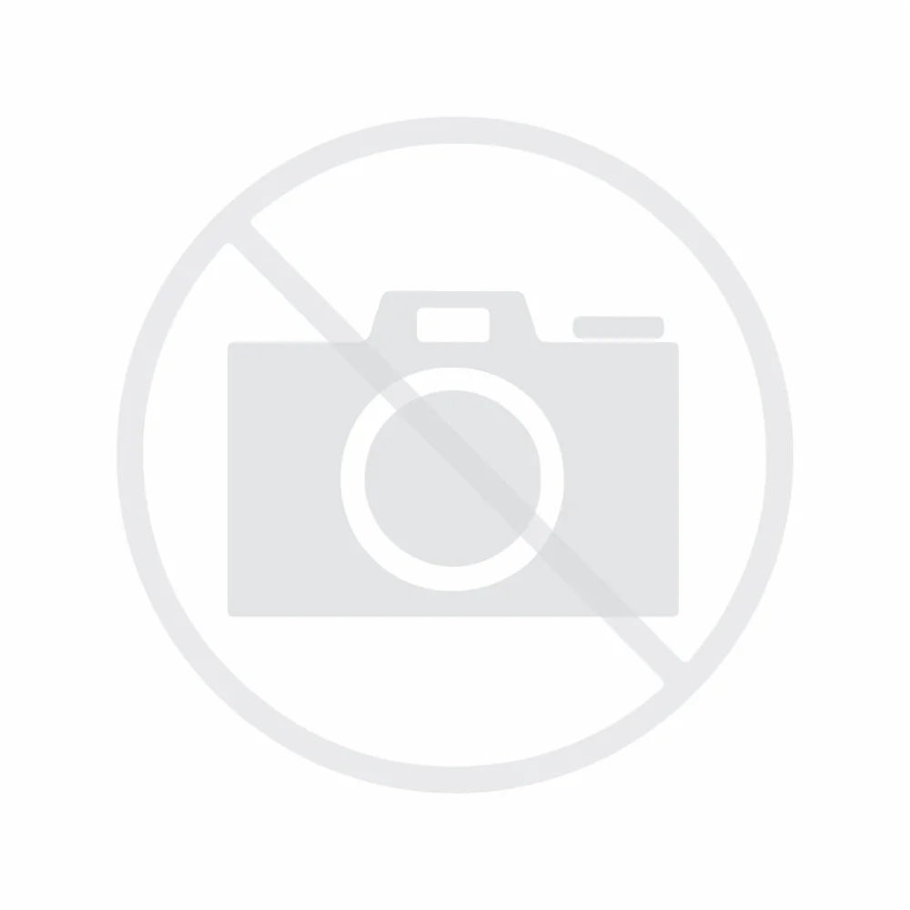 Olympic National Park Dog Collar - Grey - Image 4
